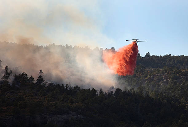 istock Pueblo Colorado Beulah Hill Fire wildfire smoke slurry bomber plane 612509730