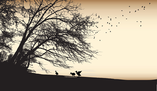 A vector silhouette illustration of an outdoor par scene with ducks along the shoreline of a body of water with a large tree and birds flying above all in a sepia tone.