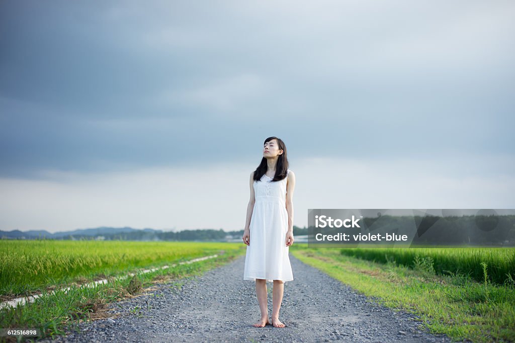 Woman standing in a rice paddy Women Stock Photo