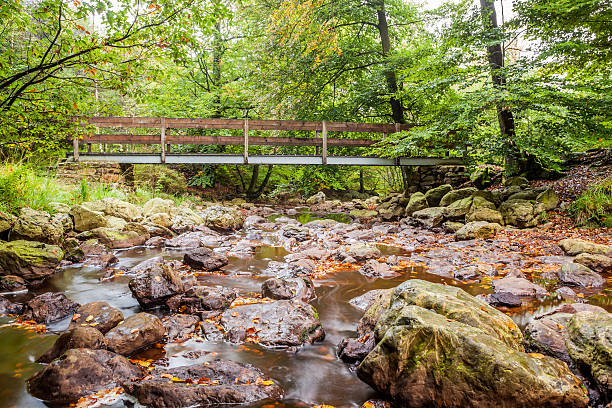 istock wooden bridge in nature 612517190