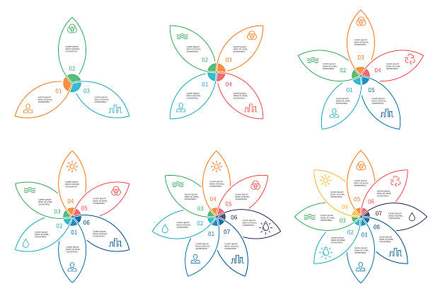 ilustrações, clipart, desenhos animados e ícones de esboço de infográficos com 3 a 8 passos, pétalas. modelos de vetores. - five petals