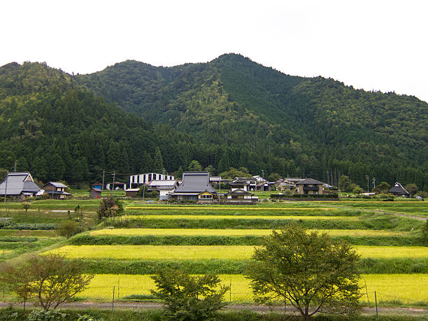 istock Country side of Japan 612520188