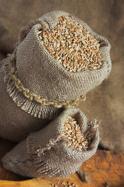 istock bag of wheat in the bakery 612521072