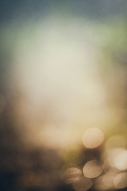 A dreamy nature bokeh background with ethreal light and soft earthy brown and blue colors of autumn or winter. Copy space in center of image. High resolution color photograph with no people. Vertical composition.