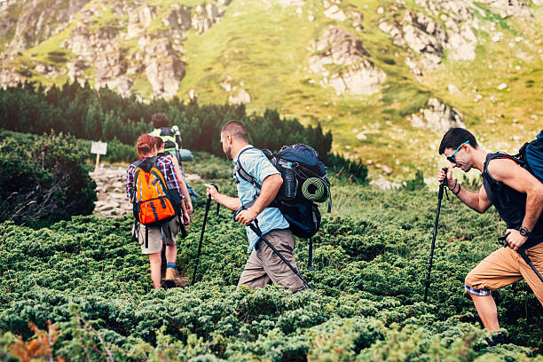 istock Friends hiking in the mountain 612521688