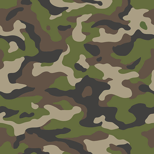 ilustraciones, imágenes clip art, dibujos animados e iconos de stock de camuflaje sin costuras - camuflaje