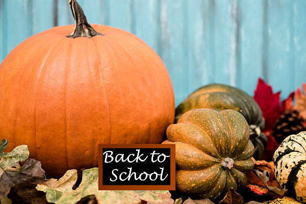 istock Autumn centerpiece with back to school sign. 612524728