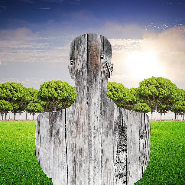 Abstract wooden male silhouette on landscape background with green grass, trees and sunny sky. Success concept