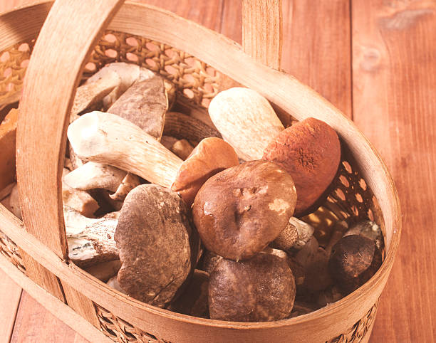 istock The basket with the collected mushrooms 612525374