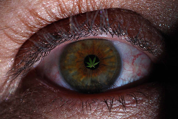 Marijuana Leaf in Pupil stock photo