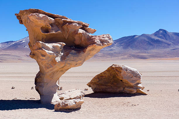 istock Salt Flats, Bolivia 612621556