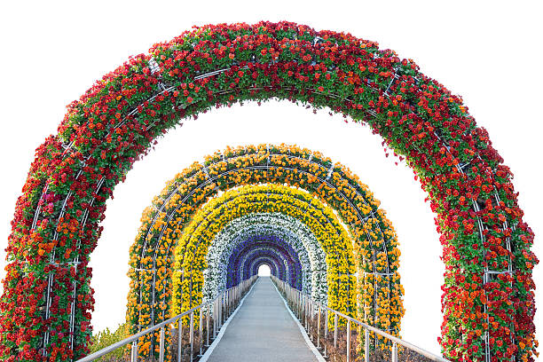 istock floral arch and walkway isolated on white. 612622538