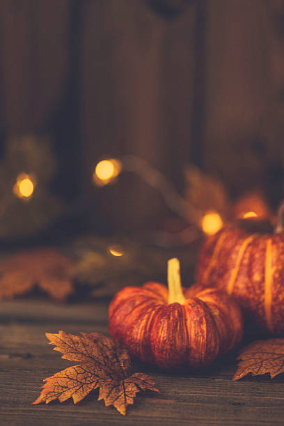 istock Fall backgrounds. Rustic still life with pumpkins, leaves and wood 612623060