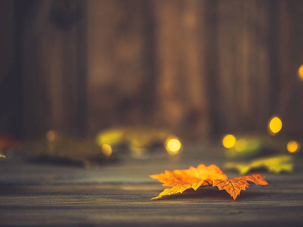 istock Fall backgrounds. Rustic still life with leaves and bokeh 612623086