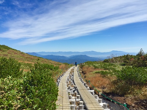 Hiking trail in Hakuba Village, Nagano, taken in October right before the alpine plants turn red, at a height of 2000m above sea level. 
