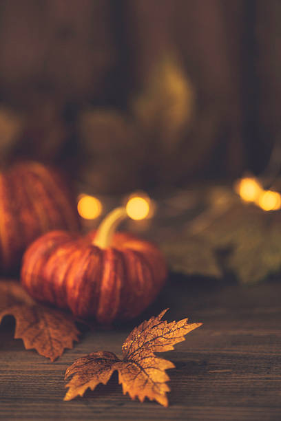 istock Fall backgrounds. Rustic still life with pumpkins, leaves and wood 612623938