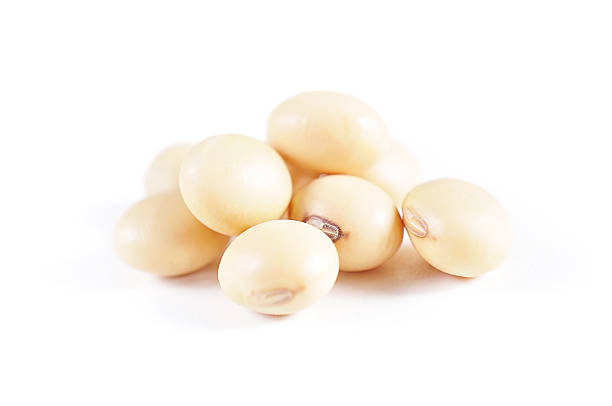 istock soy beans close up isolated on white background 612624796