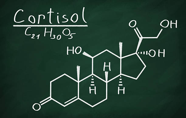 Structural model of Cortisol stock photo