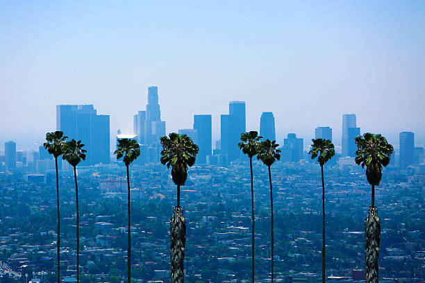 istock Los Angeles Skyline Palm Trees 612627502