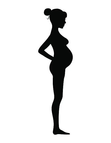 Vector illustration of Pregnant female silhouettes