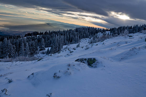 istock Mountain forest in winter. Christmas landscape. 612630550