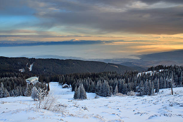 istock snovy trees on winter mountains 612631388