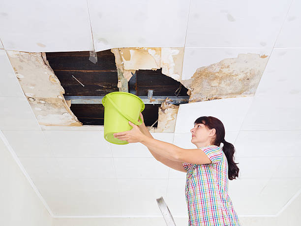 istock Young Woman Collecting Water In Bucket From Ceiling. Ceiling pan 612633206