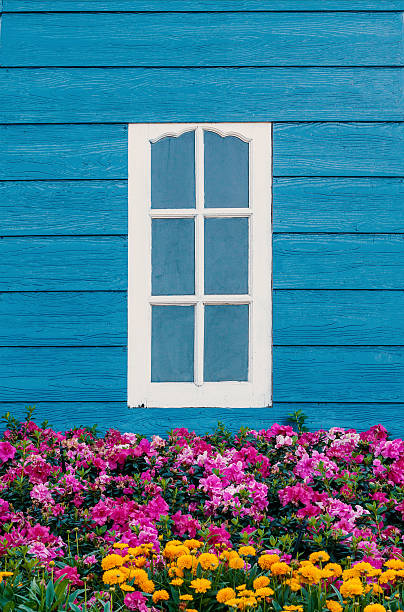 istock white window on blue wooden wall with flowers. 612633258