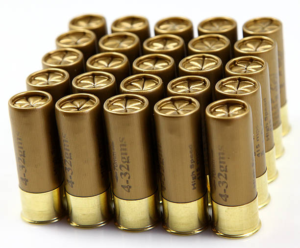 istock shotgun cartridges 612633520