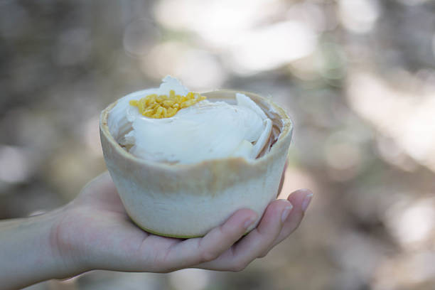 Coconut ice cream