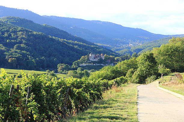 Landscape of Alsace