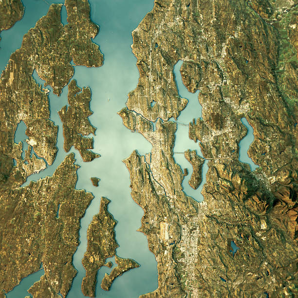 istock Seattle Topographic Map Natural Color Top View 612636350