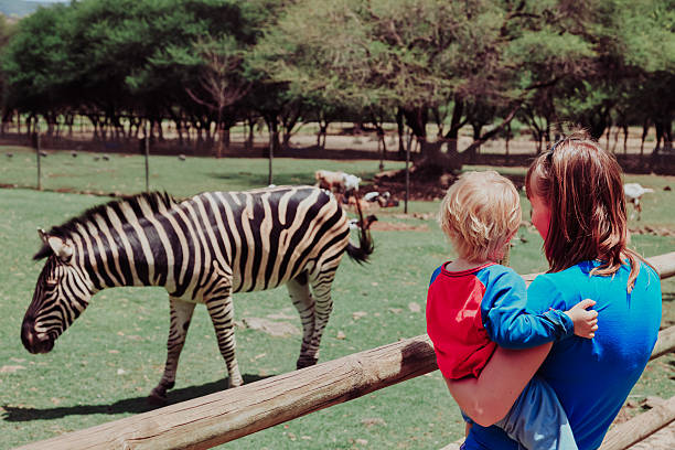 istock mother and little son looking at zeebra 612639174