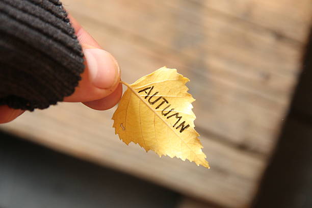 istock Autumn idea. Leaf and inscription. Soft focus. 612644016
