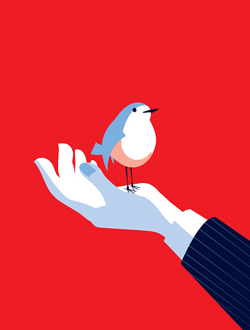 A Bird in the hand! A stylized vector cartoon of a man's hand  holding a bird, reminiscent of an old screen print poster and suggesting the phrase 