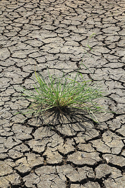 istock Dry Ground Texture, Drought, the ground cracks, no hot water 612651782