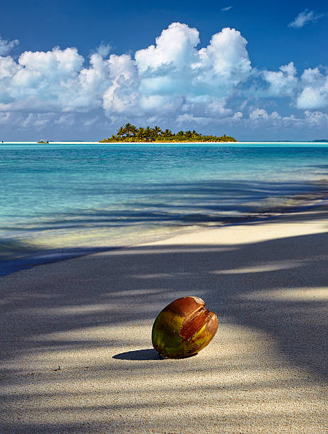 south pacific beach paradise composite - south pacific ocean island polynesia tropical climate imagens e fotografias de stock