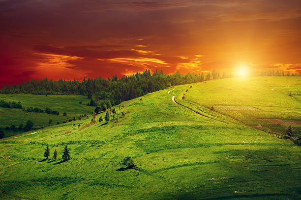 istock Green hill with pathway and sunset sky 612654382