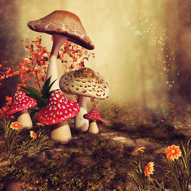 istock Colorful autumnal mushrooms 612656698
