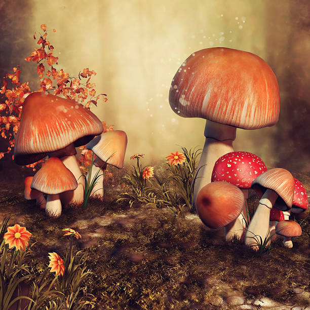 istock Autumn mushrooms and flowers 612657004