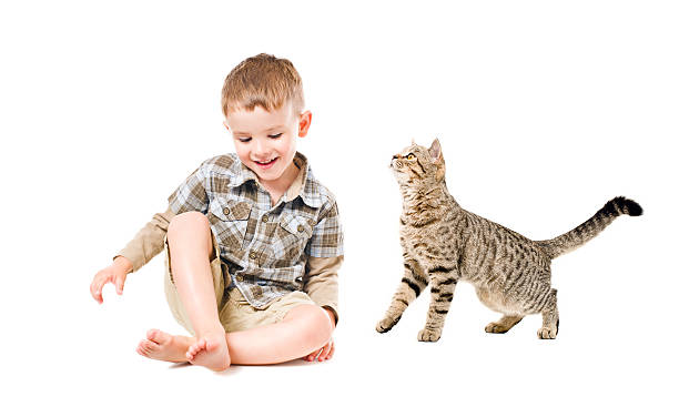 istock Beautiful laughing boy and a curious cat 612658588