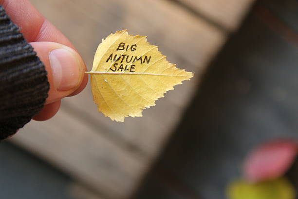 istock Big Autumn sale idea, text on colorful leaf. 612659108