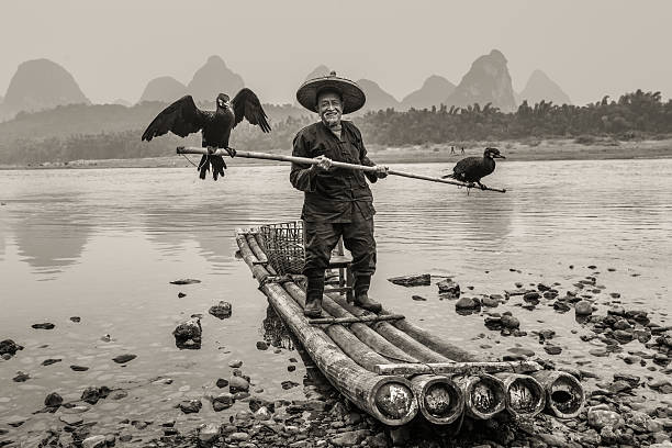 cormorán pescador - xingping fotografías e imágenes de stock