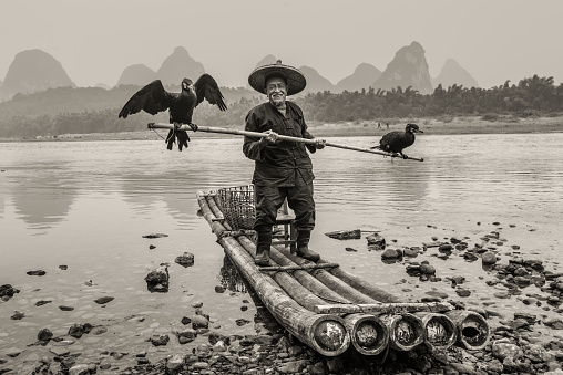 Yangshuo, China - October 20, 2013: Cormorant fisherman with ancient bamboo boat on the Li River in Yangshuo, Guangxi, China. Black and white photography (sepia).