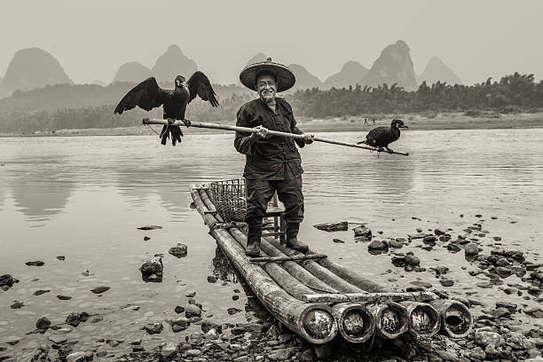 corvo-marinho pescador - yangshuo imagens e fotografias de stock