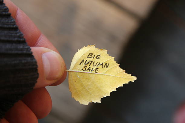 istock Big Autumn sale idea, text on colorful leaf. 612659250