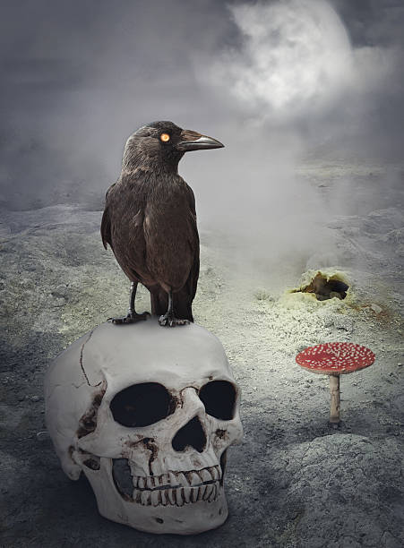 istock Halloween mystical background with crow on skull 612716602