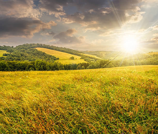 istock rural field near forest at hillside at sunset 612717988