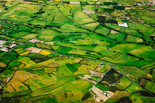 Aerial view of green farmland