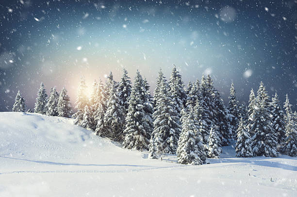 istock Perfect winter sunrise 612720898